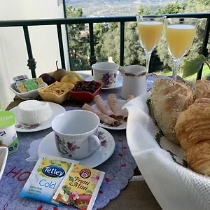 Frühstückspension Charming Cozy Retreat - Terrace & Private Balcony, Coimbra